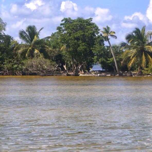 Visitar la Isla Tamalcab